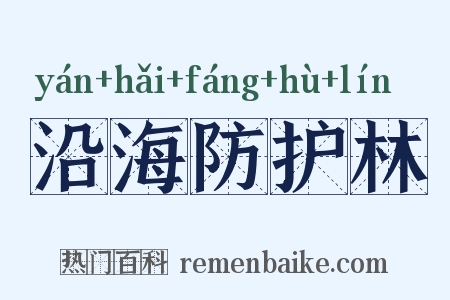 沿海防护林是什么意思的图片